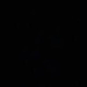 Meet your Posher, Knoel